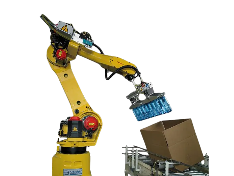 Case Packaging Robot